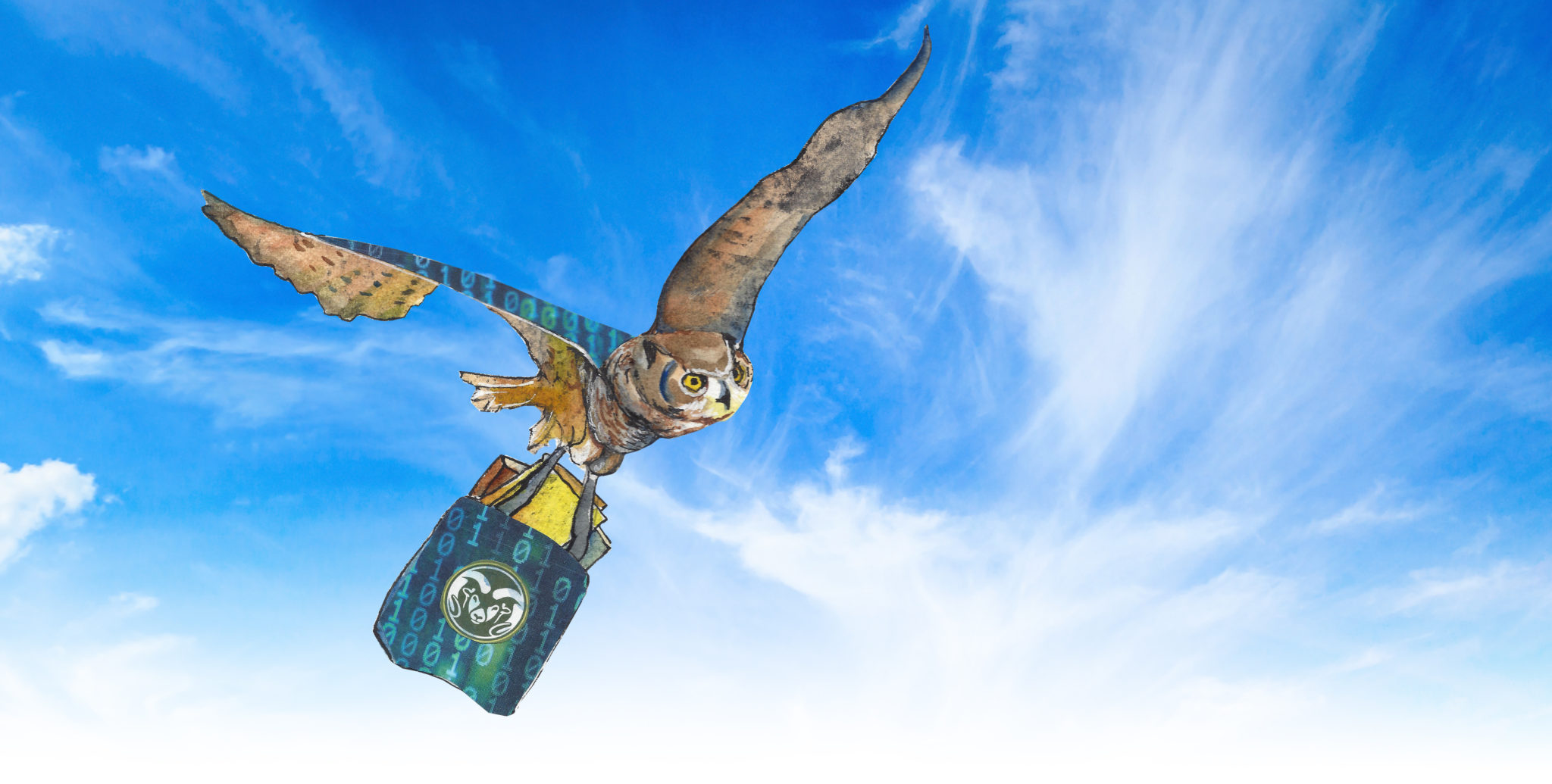 illustration of and owl carrying books in flight