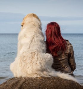 dog and owner looking over ocean